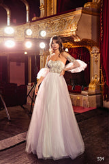 ROCHIE DE SEARA EN V-534